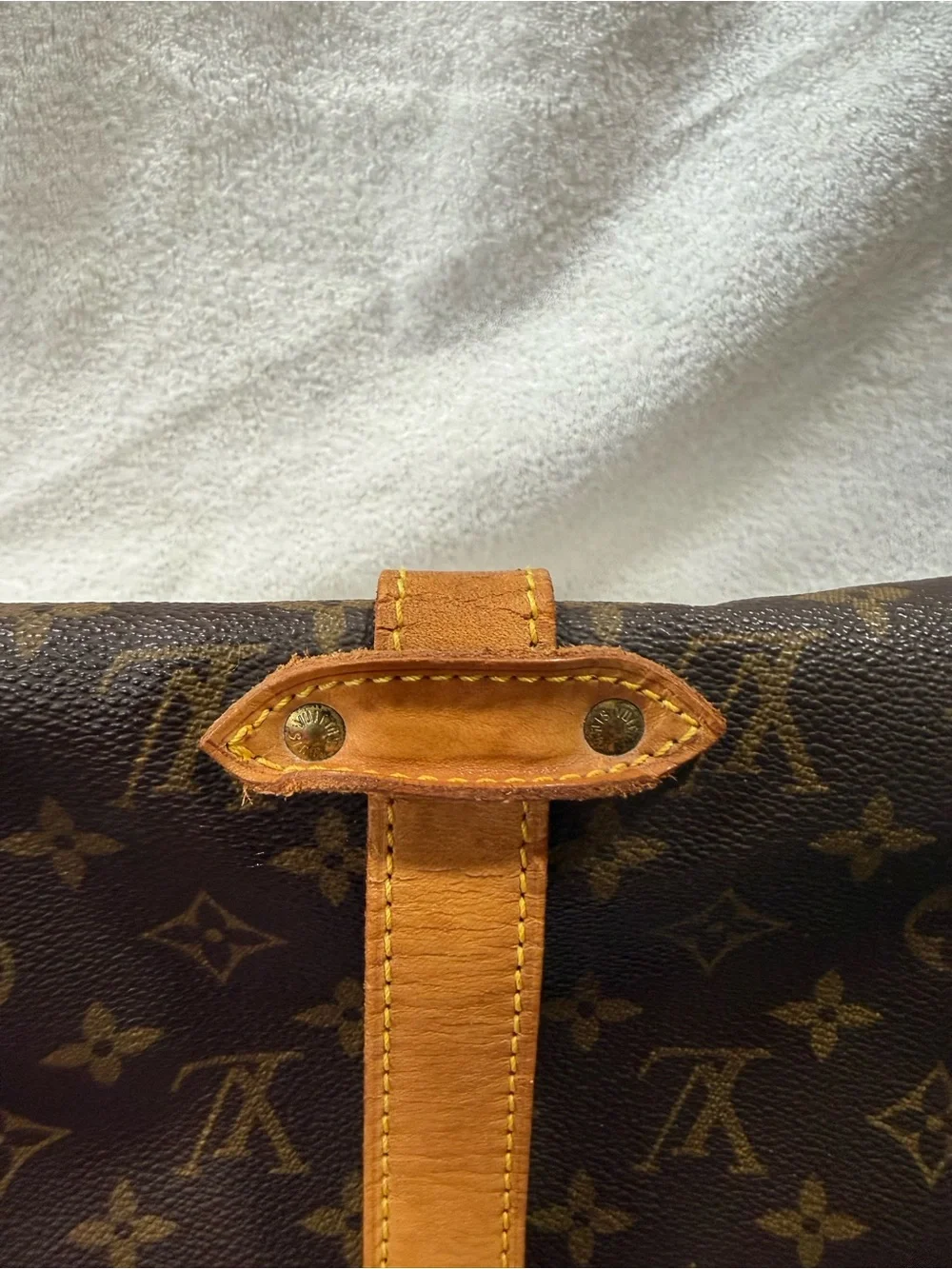 Louis Vuitton classic louis